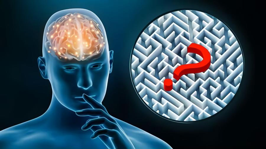 Reconfigure su cerebro para manifestar su destino