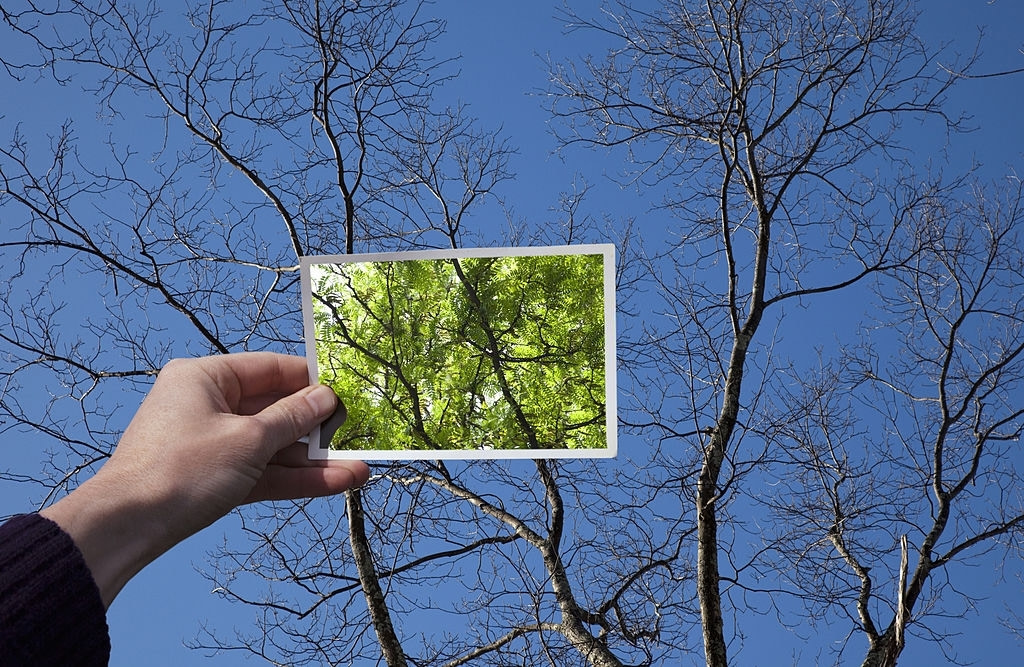 Cómo recuperarse del fracaso Visualice el futuro